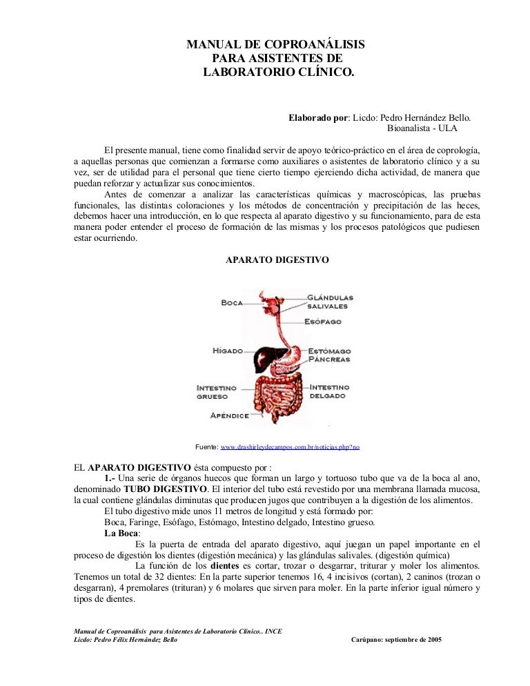 En de heces bebe oculta sangre positiva